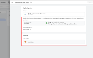 Google Ads User Provided data tag